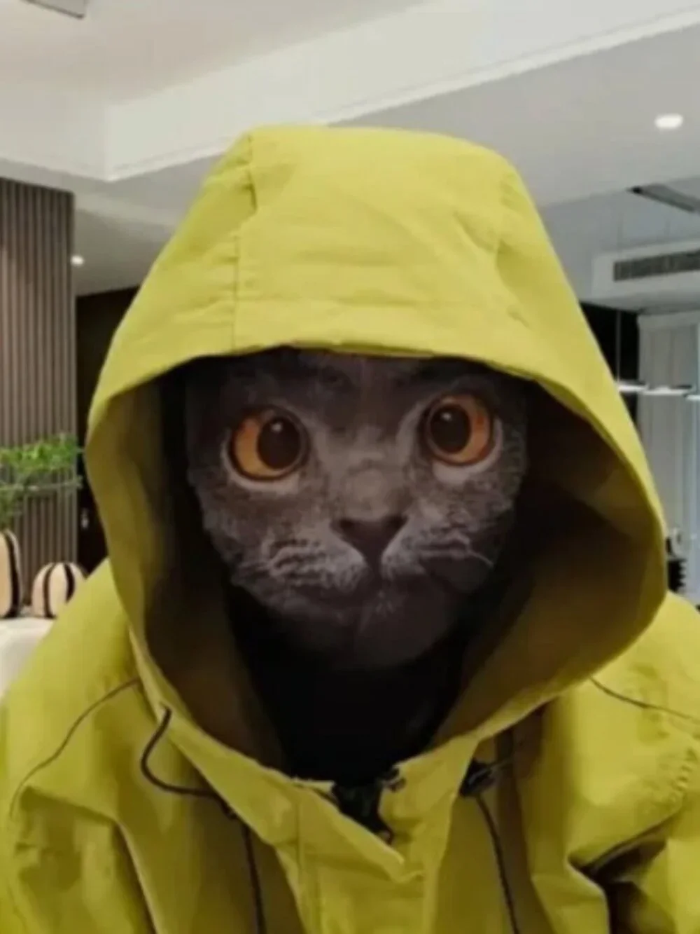 Halloween Cat Mask Breathable Mesh Costume Cosplay Party Accessory